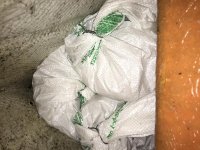 IMG_3734.jpg