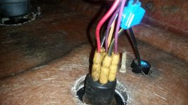 20190831_094034.jpg