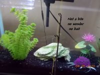 DSCN6275.JPG