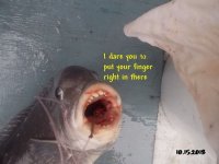 10.15.2018 - I dare you.jpg