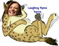 Hyena copy.jpg