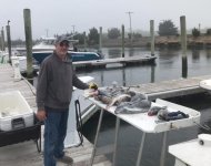 seabass2.jpg