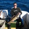 gofish