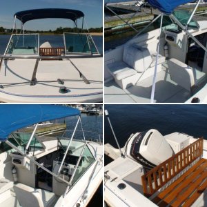 89 Steplift v20 - Sea Monkey