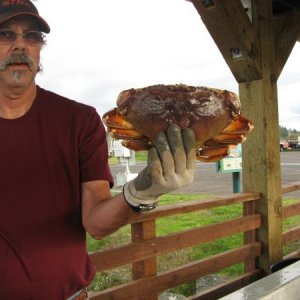 Love Dungeness Crab