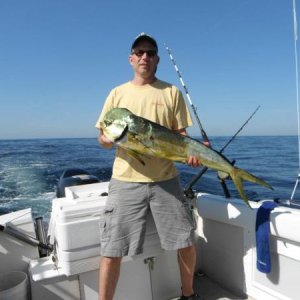 11 pound dolphin