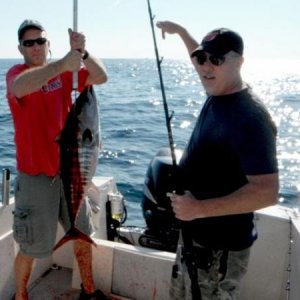 Bluefin 2012