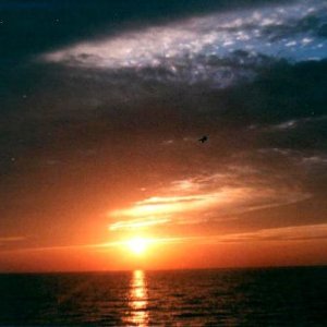 sunset1