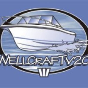 V20 logo