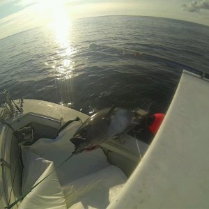 Picture 000011