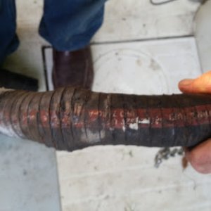 hose