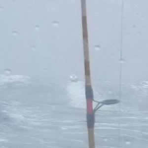 fog