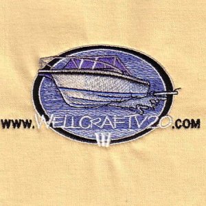 v20 logo