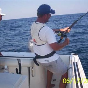 dave hammerhead fight