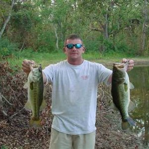 bass 