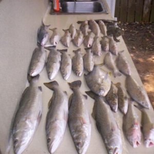 inshore