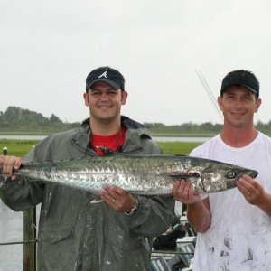 1st Kingfish ever!