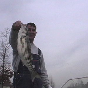 Striper Lake Norman2 12-8-02