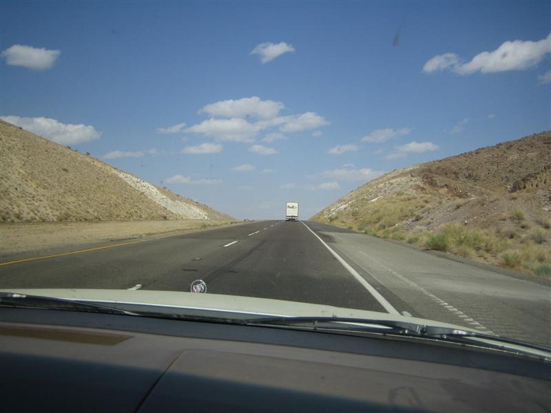 IMG 2478 (Medium)