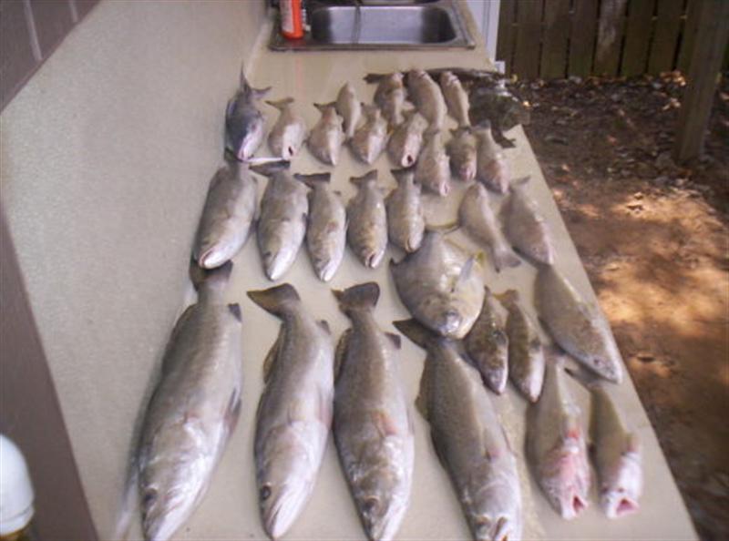 inshore