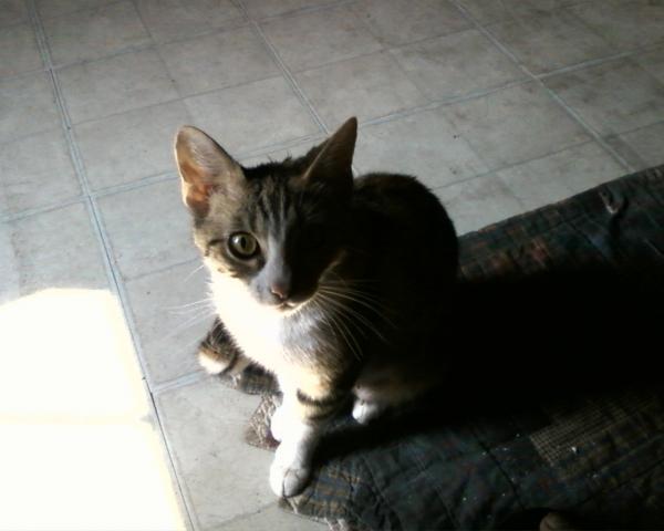 Photo 0079