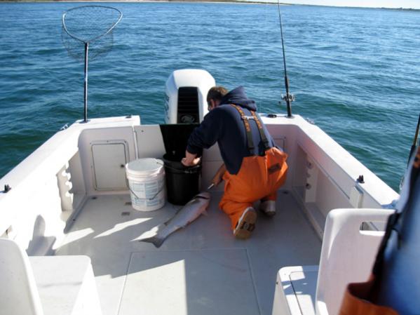 Ron unhooking.