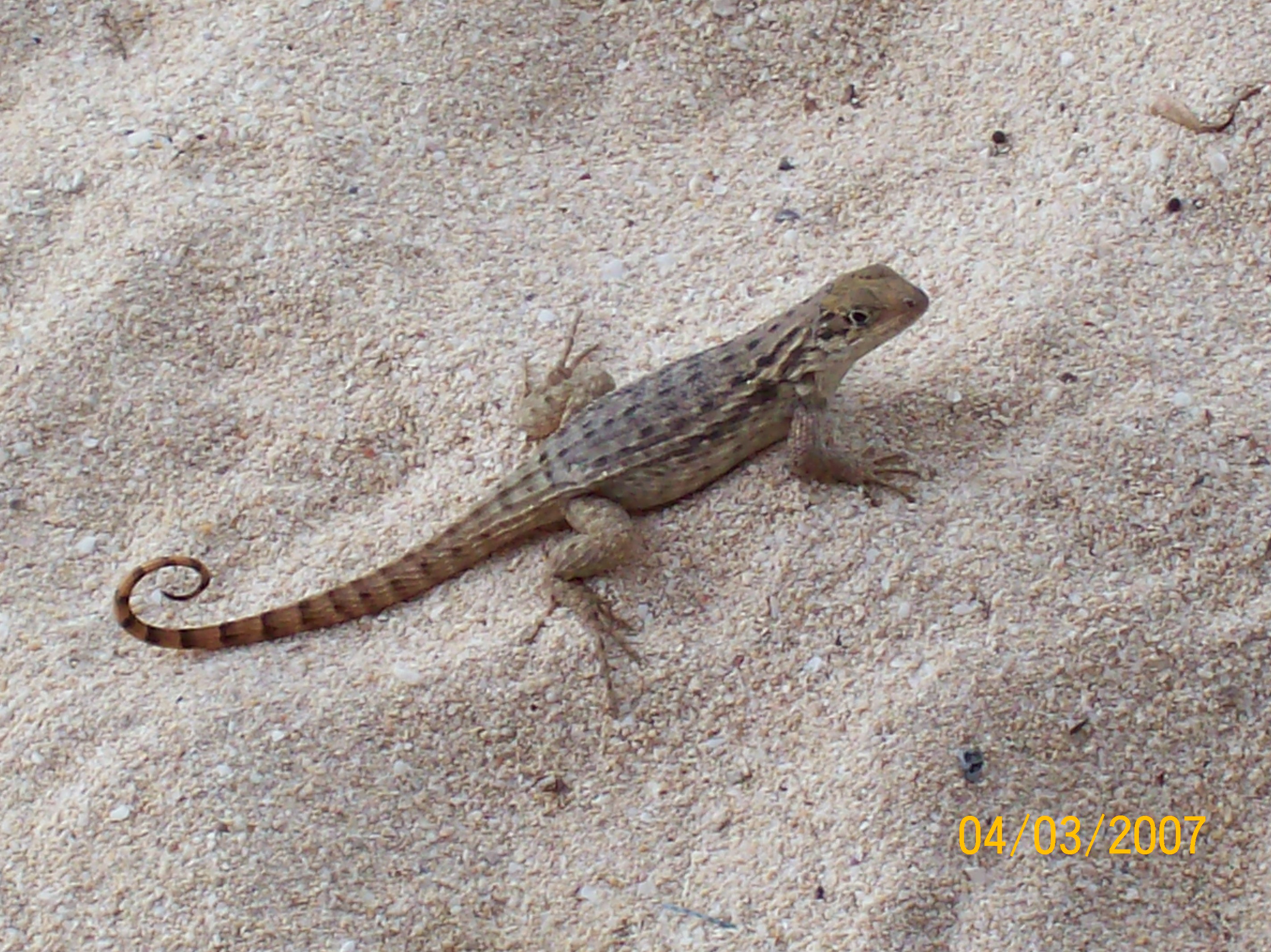 Spring Break 2007 074