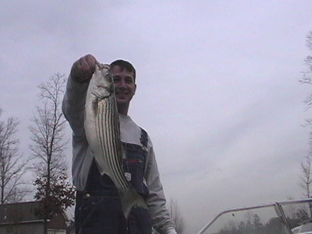 Striper Lake Norman2 12-8-02