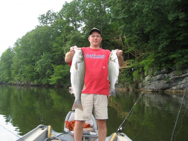 Weiss Lake AL stripers